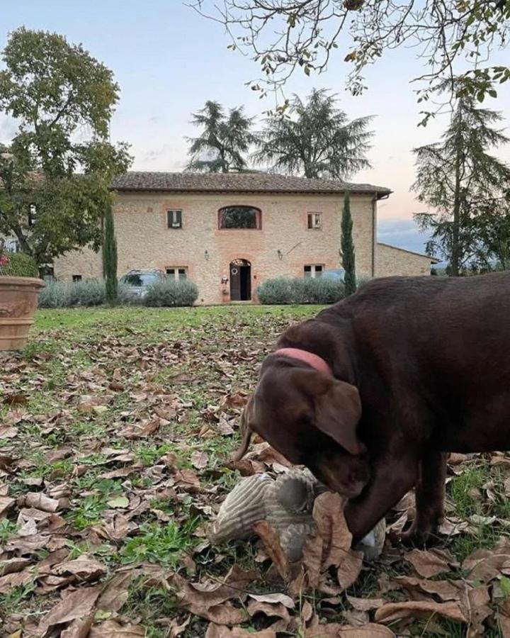 Agriturismo La Segolina Colle Val D'Elsa Exteriör bild
