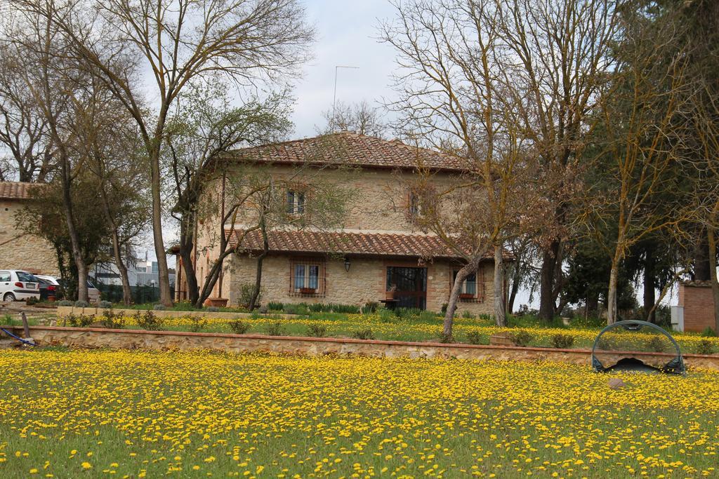 Agriturismo La Segolina Colle Val D'Elsa Exteriör bild